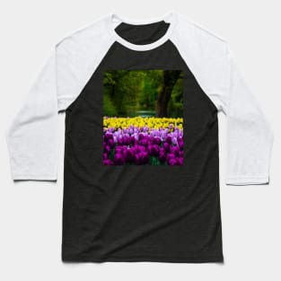 Yellow Tulips and Purple Tulips Baseball T-Shirt